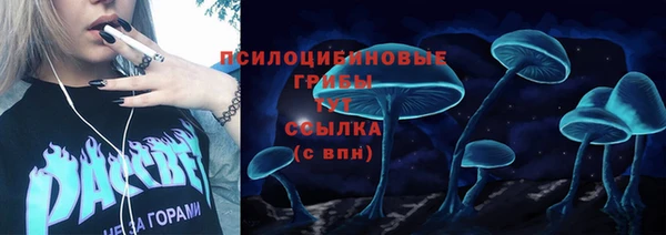 Альфа ПВП Армянск