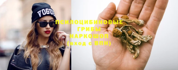 Альфа ПВП Арсеньев