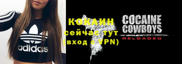 дживик Щигры