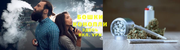 гашик Алексин