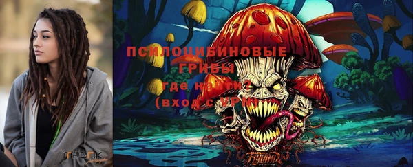 Альфа ПВП Арсеньев