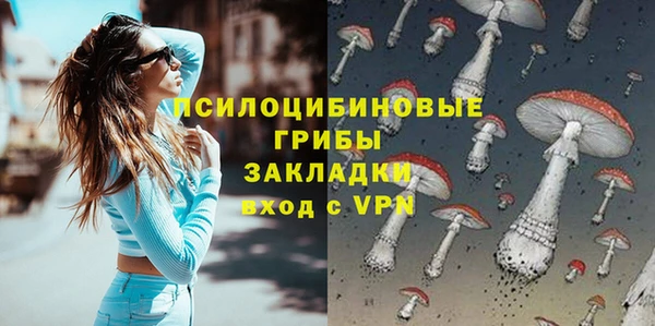 Альфа ПВП Армянск